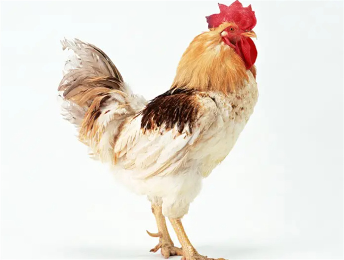 mȻƢⲻǳиŮТ혵3ФŮ