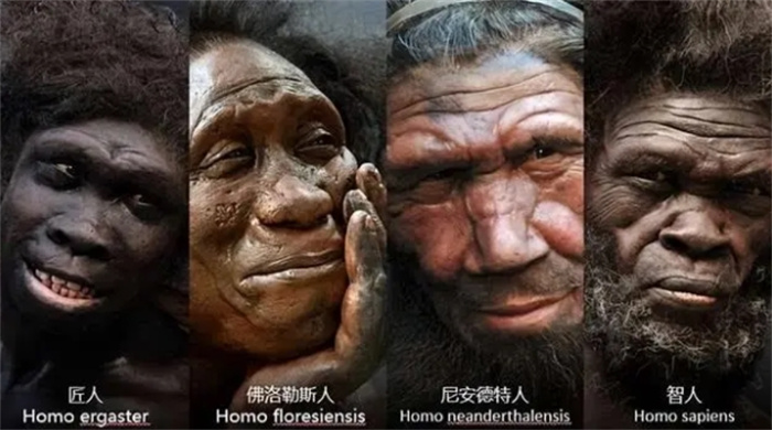 Ne߂ϵh(hun)˼MՓ