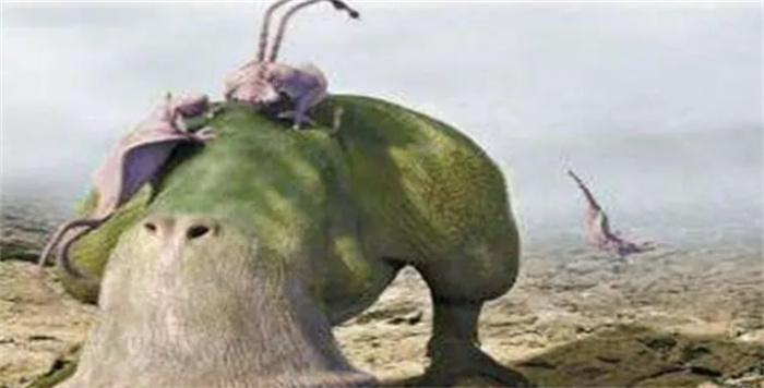 Lʲô҂e(cu)(do)һֱҲ