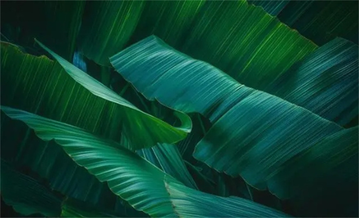 Ļ