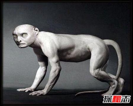 ~MĆ~˵M^̈DƬ