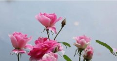 12Фվ3Ф᣿