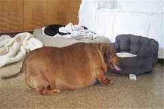ʵĹʲô (gu)DcȮẈw